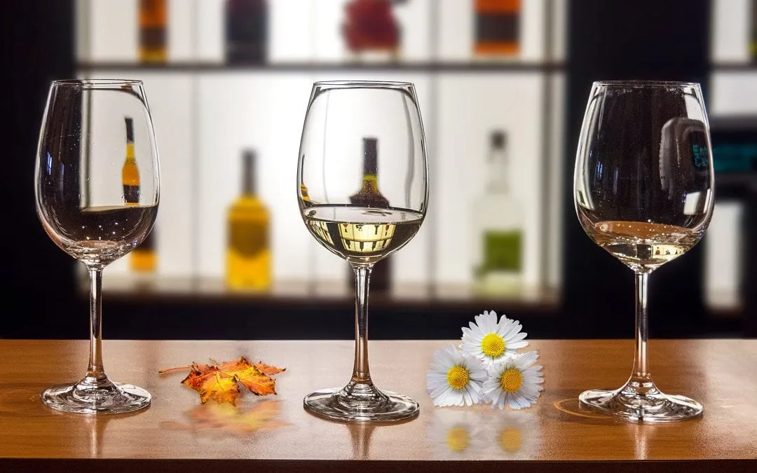 The Ultimate Guide To Understand Wine