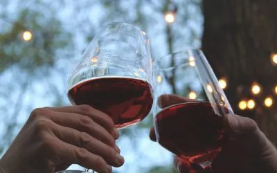 Is Pinot Noir Good for Beginners?