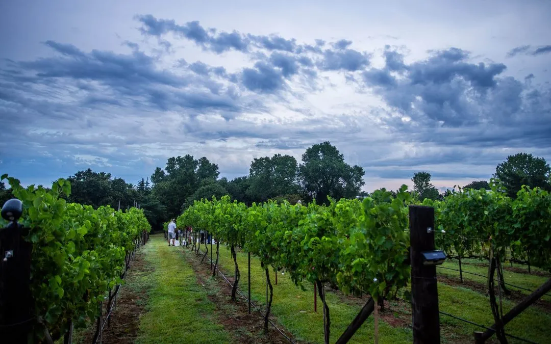 What Are the Different Types of Oklahoma Winery Near I-40?