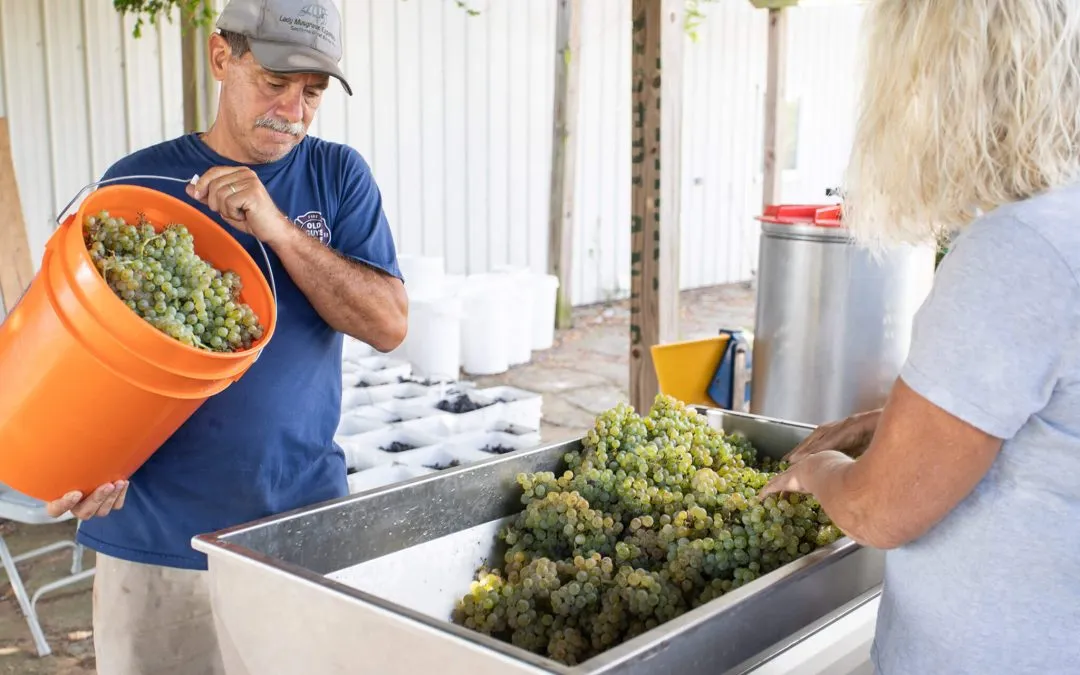 What Is a Crush Pad for an Oklahoma Winery Near I-40?