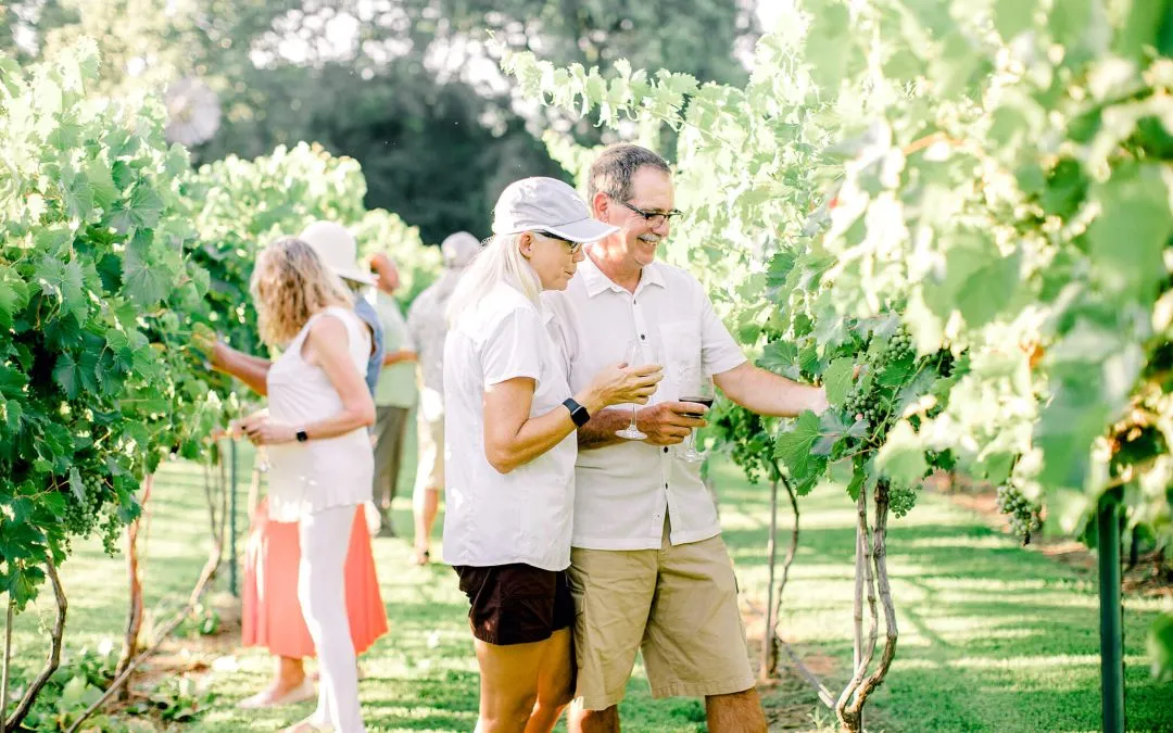The Best Way To Get Ready For Oklahoma Wine Tours