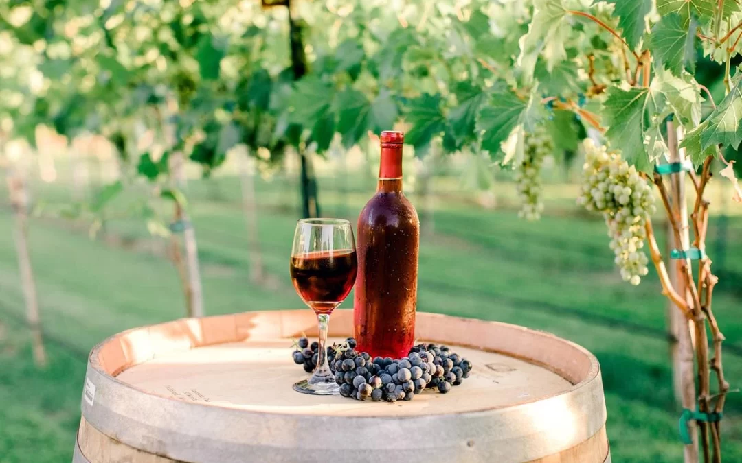 7 Tips For Traveling Oklahoma Wine Trails